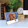 2026 Willow Creek Goldens 6.2" x 5.4" Day-to-Day Calendar (54192)~#|#~BC337C8A-E10B-454A-9D7E3A7EE8341583_sc7