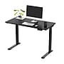 FlexiSpot Vici 48"W Electric Rectangular Adjustable Metal Standing Desk, Black (E9B)~#|#~BC359141-D352-44D9-9933F8BBAA745C3E_sc7