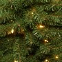 National Tree Company Kincaid Spruce Artificial Christmas Tree (KCDR-60LO)~#|#~BC4900CB-9544-4623-8D506C828C0B69F5_sc7