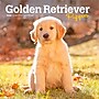 2026 BrownTrout Golden Retriever Puppies 7" x 7" Monthly Wall Calendar (9798330703456)~#|#~BC9EF3C6-EA13-4BBE-AD13D4CEAF722419_sc7