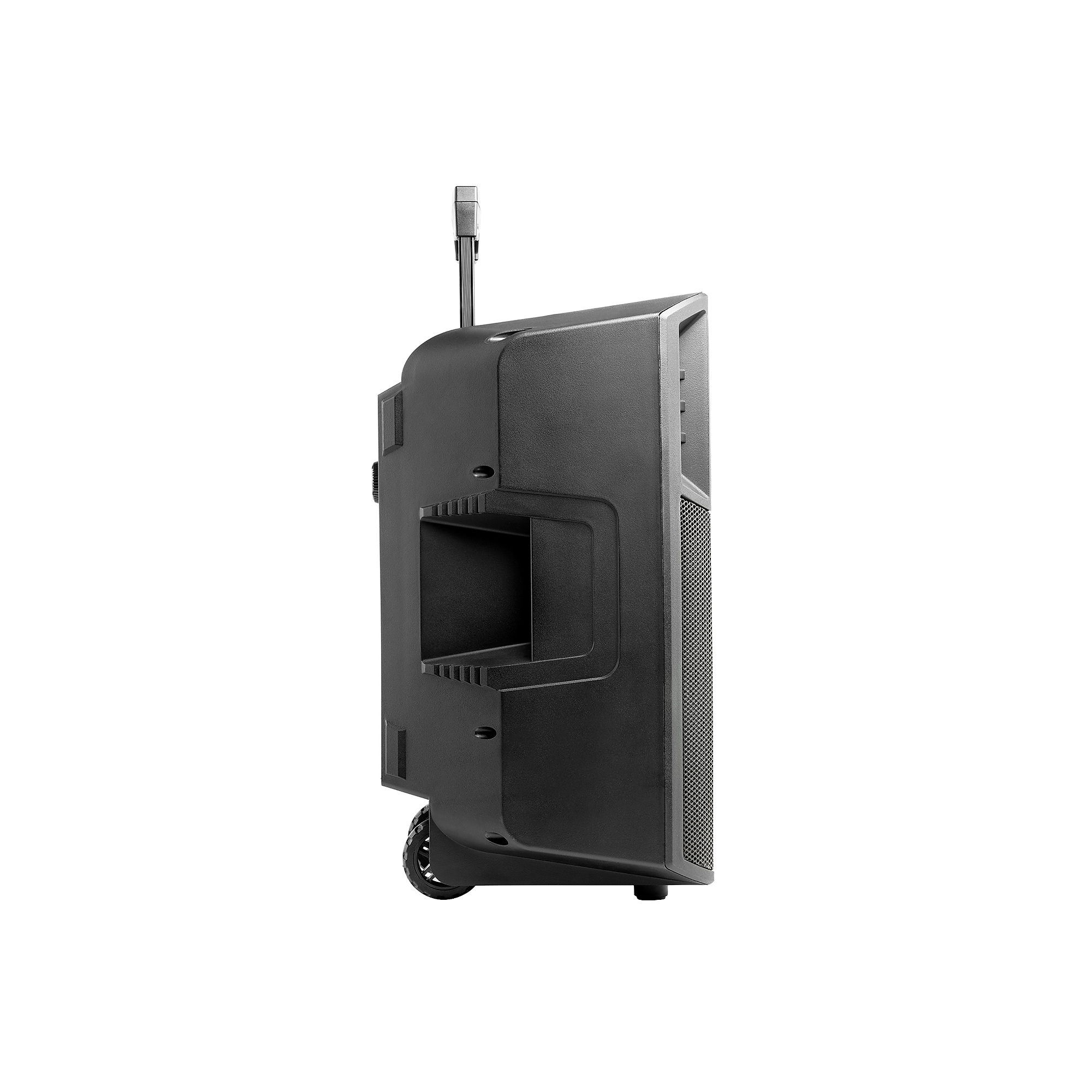 ION Power Glow 300 Wireless Bluetooth Portable Party System Speaker with Lights, Mic & Stereo-Link, Black (POWERGLOW300XUS) Sansujyuku sansujyuku.com