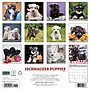2027 Willow Creek Schnauzer Puppies 12" x 12" Monthly Wall Calendar, Assorted Colors (62173)~#|#~BCB49475-3F06-447C-9E606F76A01D3D61_sc7