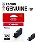 Canon 65 BK Black Standard Yield Ink Cartridge (4215C002)~#|#~BCCD9F76-0124-4539-8F0D79BC0040A321_sc7