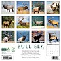 2026 Willow Creek Bull Elk 12" x 12" Monthly Wall Calendar (50408)~#|#~BCDC8896-1944-4FE6-A0F12918D2F80206_sc7