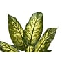 Monarch Specialties Inc. 47" Artificial Evergreen Tree in Pot (I 9535)~#|#~BCE2D03D-E2D8-41C1-A000E8DADC5D4101_sc7