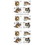 USPS Squirrels & Chipmunks in Snow Forever 20 Postage Stamps (FOR-SQUIRREL-20)~#|#~BD58DDF9-199B-4CCF-B8AD47207A2D0B8A_sc7