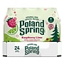 Poland Spring Raspberry Lime Sparkling Purified Water, 16.9 oz., 24/Carton (12349573/122058)~#|#~BD633511-9B80-4E38-8E0AA91D27F57941_sc7