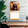 2026 BrownTrout Caffeine Cats 12" x 12"  Monthly, Paper Cover, Caffeine Cats (9798330707232)~#|#~BD9759D1-D0B5-4A99-87A4EF8049AF7333_sc7