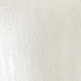Liquitex LX ACRYLIC BASICS Acrylic Paint, Iridescent White, 118 ml. (LIQ1046238)~#|#~BDA444AD-6EA3-4D7F-96D912D88DDF4565_sc7