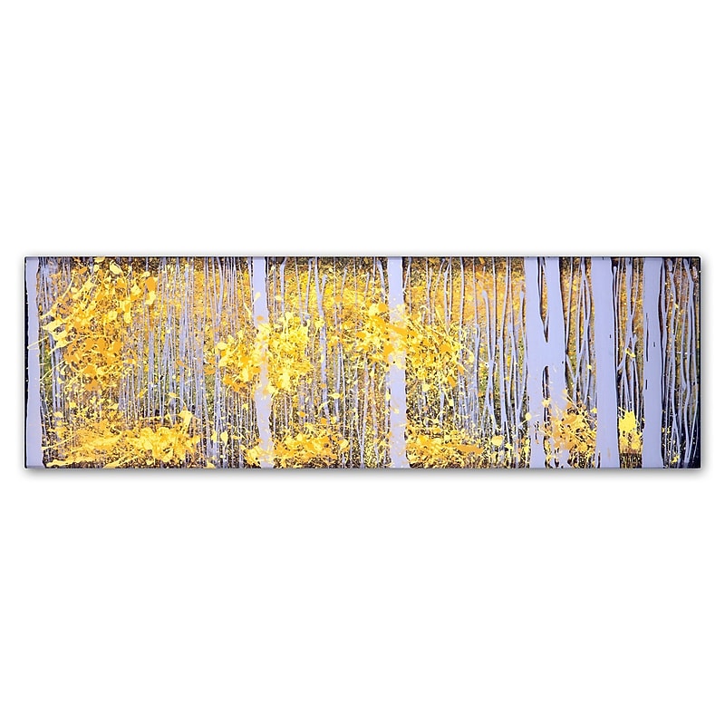 Trademark Fine Art ''PanorAspens Grey Forest'' by Roderick Stevens 10" x 32" Canvas Art (RS1019-C1032GG) image 1