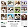2027 Willow Creek Shih Tzu Puppies 12" x 12" Monthly Wall Calendar, Assorted Colors (62319)~#|#~BDEF5513-9291-4A41-890FE83E2D8228CF_sc7