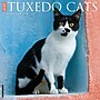2027 Willow Creek Tuxedo Cats 12" x 12" Monthly Wall Calendar, Assorted Colors (62715)~#|#~BDF0AEC2-A10E-427E-AC0523B4B3621991_sc7