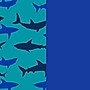 bentgo Stainless Steel Double Wall Insulated Water Bottle, 14 oz., Shark & Teal Fin, 2/Pack (BGKSTBL2P-SHK)~#|#~BDF1716D-989A-4DBC-AB51638C242E7B33_sc7