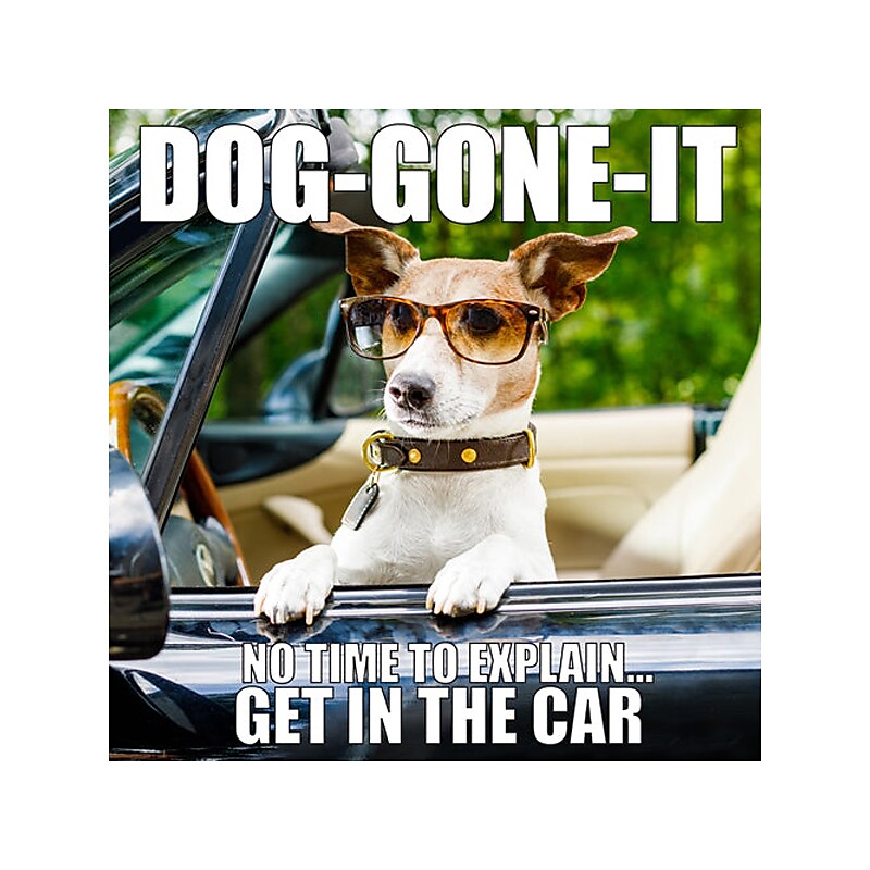 Dog-Gone-It, Hardcover image 1