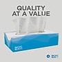 Pacific Blue Select Facial Tissue, 2-ply, 100 Tissues/Box, 30 Boxes/Carton (48100)~#|#~BE03E56B-32D7-49EF-97551A226F81FB21_sc7