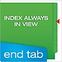 Pendaflex Recycled End Tab File Folder, Straight Cut, Letter Size, Green, 100/Box (H110DGR)~#|#~BE23787D-6F5A-4B35-B628FB6FBC79F6A5_sc7