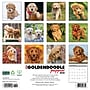2026 Willow Creek Goldendoodle Puppies 12" x 12" Monthly Wall Calendar (51306)~#|#~BE2B1580-B617-4266-8723086A9E70ADAA_sc7