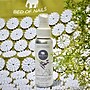 Bed of Nails Aromatherapy Spray (1940)~#|#~BE4D4832-C69F-4CFF-B5C5E7CDAFA3EC5F_sc7