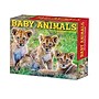 2027 Willow Creek Baby Animals 6.2" x 5.4" Daily Day-to-Day Calendar, Assorted Colors (63262)~#|#~BE4E7D9D-E91E-4B1D-B26B69815CF4BD99_sc7