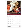 2026 TF Publishing 12" x 17" TF Publishing 7" x 7" Puppies Mini Calendar 26-2007~#|#~BE561BB0-27A3-4131-B15FADE415A6E1D1_sc7