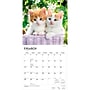 2027 BrownTrout I Love Kittens 12" x 12" Monthly Wall Calendar (9798330711802)~#|#~BE5EDB32-C971-4FF4-8209231F5B832C19_sc7