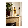 LEGO Star Wars C-3PO, 1138 Pieces (75398)~#|#~BE614209-8364-4248-AB04A062F98C3E49_sc7