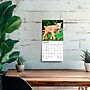 2027 BrownTrout Baby Goats 7" x 7" Monthly Wall Calendar, Assorted Colors (9798330709762)~#|#~BE682949-14F0-4E1C-A69C98B34AB32E1F_sc7