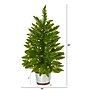 Nearly Natural 2-ft. Providence Pine Pre-Lit Artificial Christmas Tree, 35 Lights (T1561)~#|#~BE6DB622-5CFA-4A9F-A7C3455A5ACA2CD0_sc7