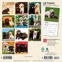 2027 BrownTrout Lab Puppies 7" x 7" Monthly Wall Calendar (9798330710027)~#|#~BE72E7F7-90B6-445A-B0652A08E6D31196_sc7
