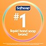 Softsoap Antibacterial Liquid Hand Soap, Crisp Clean Scent, 6/Carton (US03562)~#|#~BE786C37-EE08-458E-BEEF5AFDD20DC9F2_sc7