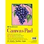Strathmore 300 Series 9" x 12" Tape Bound Canvas Pad, 10 Sheets/Pad, 2 Pads/Bundle (STTP31509-2)~#|#~BE7C9518-C436-476F-B367CEAA793E3766_sc7