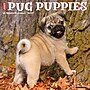 2027 Willow Creek Pug Puppies 12" x 12" Monthly Wall Calendar (61930)~#|#~BE821403-1F6E-44D9-9F3323BE1CD91D86_sc7
