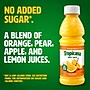 Tropicana 100% Orange Juice, No Sugar Added, No Pulp, 10 oz., 24 Bottles/Pack (TRO00233)~#|#~BE9DD9D3-FA7F-4D38-A18FE1C0415655A4_sc7