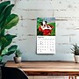 2027 BrownTrout Boston Terrier Puppies 7" x 7" Monthly Wall Calendar, Assorted Colors (9798330709939)~#|#~BEABD426-D31E-480E-8CFA342C3CDF9FE1_sc7