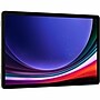 Samsung Galaxy Tab S9 11" Tablet, 9th Generation, Wi-Fi, 256GB, Android 13, Beige (SM-X710NZEEXAR)~#|#~BEBE8692-E885-4166-AFECC4FE3150DFEC_sc7