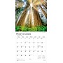2026 BrownTrout Inspiration 12" x 12" Monthly Wall Calendar (9798330703913)~#|#~BECC06CA-0F3A-466D-8EBADAE8B5E4B2AC_sc7