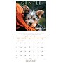 2027 Willow Creek So God Made a Dog 12" x 12" Monthly Wall Calendar, Assorted Colors (62418)~#|#~BECF0AB9-F0F8-447D-8A932C2DD06E03BB_sc7