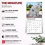 2027 BrownTrout Maltese 7" x 7" Monthly Wall Calendar (9798330710041)~#|#~BEDFBFD9-BC25-4CAB-8CD74B5CD2060A9B_sc7