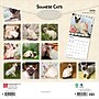 2026 BrownTrout Siamese Cats 12" x 12" Monthly Wall Calendar (9798330705573)~#|#~BEED806A-1008-4A64-B82E681047B04E10_sc7