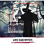 Haunted Hill Farm Life-Size Poseable Phantom Witch with Crystal Ball (HHWITCH-2FL)~#|#~BEF1AB99-CAB5-4BCB-BCB35562C2364390_sc7