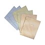 Pukka Pad Haze 3-Hole Punched 2-Pocket Cardstock Portfolio Folders, Assorted Colors, 6/Pack (9980(AST)-HZE)~#|#~BEFE986F-E923-4D79-8F32247F3516C86A_sc7