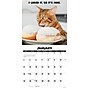 2026 Willow Creek Cat Chat 12" x 12" Monthly Wall Calendar (55700)~#|#~BF06106C-30B2-4E8F-9B3F726AC6F085FE_sc7