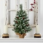 Nearly Natural Snow Tipped Pine and Berry Artificial Christmas Tree, 2' (T3326)~#|#~BF160646-8AFE-47F9-9C9CE487FC799EA7_sc7