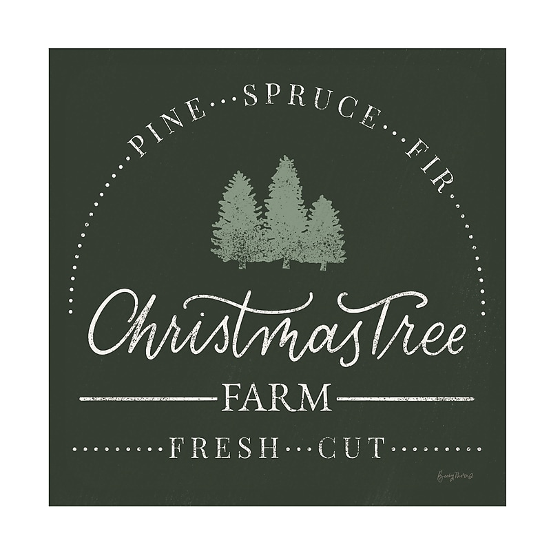 Trademark Fine Art Becky Thorns Vintage Christmas Sign I Green Sq Canvas Art, 24" x 24" (WAP31955-C2424G) image 1