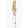 Nonni's Pumpkin Spice Biscotti, 6.88 oz., 8/Box (197419)~#|#~BF1EB952-FF9C-4B78-A57D9939DE7A5333_sc7