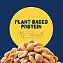 Planters Honey Roasted Peanuts, 2.5 oz., 15 Bags/Pack (GEN01652)~#|#~BF258AEB-F01B-487F-9D590A0171885BA6_sc7