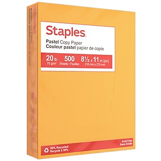 Risa ページ Staples Pastel 30% Recycled Color Copy Paper, 20 lbs., 8.5