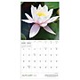 2026 TF Publishing 12" x 17" TF Publishing 7" x 7" Flowers Mini Calendar 26-2014~#|#~BF445A56-9C73-46A7-B3CFACE438649B84_sc7