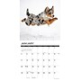 2026 Willow Creek Australian Shepherds 12" x 12" Monthly Wall Calendar (49983)~#|#~BF63A309-CFF7-4AB1-8E7BABA582228D98_sc7