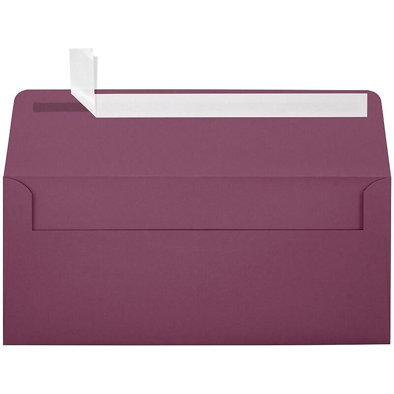 JAM Paper Self Seal #10 Booklet Envelope 4 1/8" x 9 1/2", Plum Purple, 50/Pack (LUX-4860-104-50) image 1